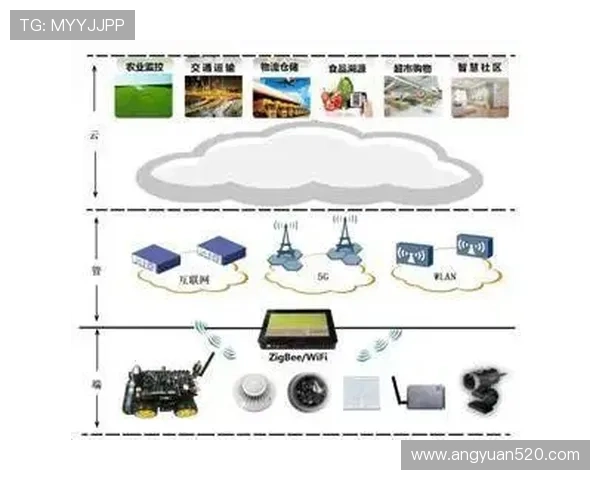 武汉排球队的盯防革新探索与实践全景解析 武汉排球队的盯防革新探索与实践全景解析