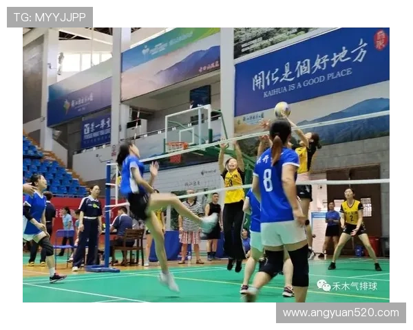 深入分析杭州排球队的阵地战战术及其在比赛中的应用效果