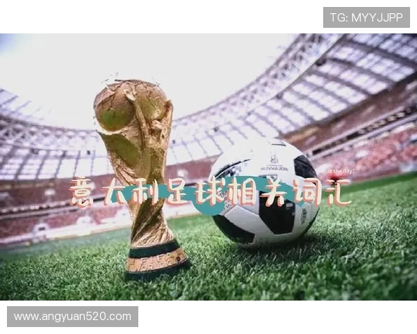 追逐足球明星的辉煌瞬间与成功背后的故事揭秘 追逐足球明星的辉煌瞬间与成功背后的故事揭秘