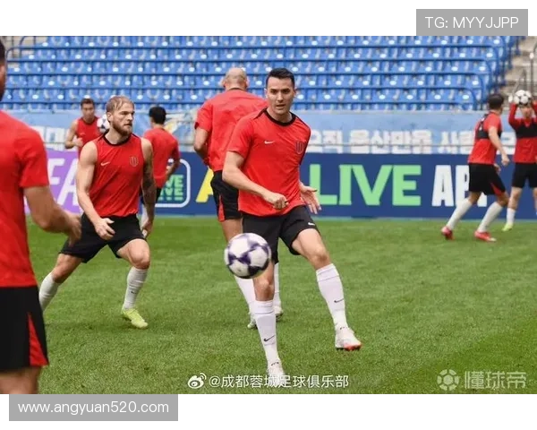 独家分析：成都足球队的个人能力对比