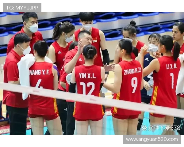 北京排球队的训练与比赛状态全景揭秘助力排球巨献的背后故事